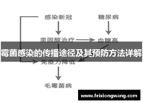 霉菌感染的传播途径及其预防方法详解