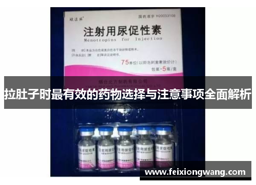 拉肚子时最有效的药物选择与注意事项全面解析