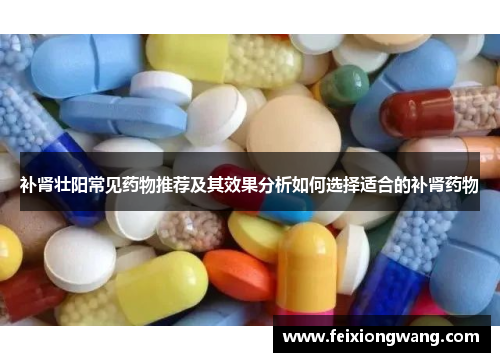 补肾壮阳常见药物推荐及其效果分析如何选择适合的补肾药物
