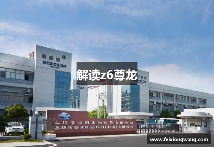 针织牛仔布厂家